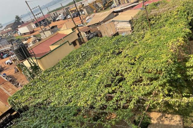 CLIMATE ADAPTATION MODALITIES CCAM